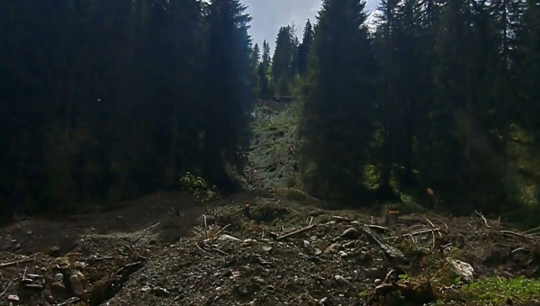 Les communes de la vallée d'Illiez déblaient encore arbres et terre des intempéries de novembre 